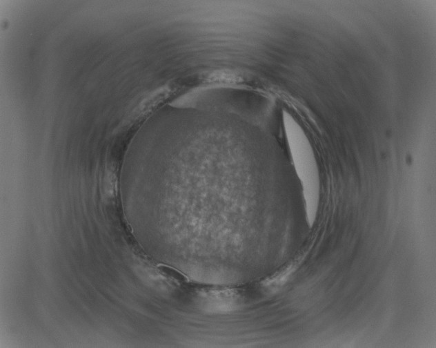 X0000084600517200703091932