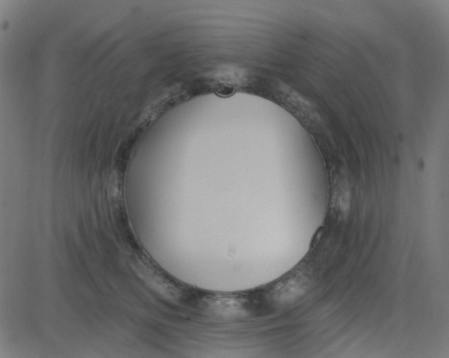 X0000084600518200703091932