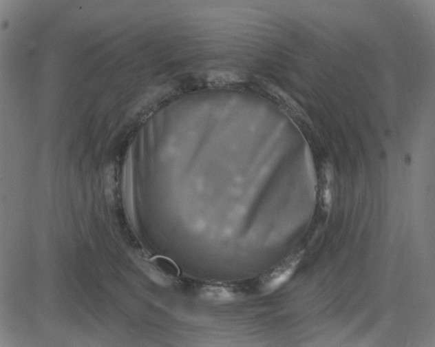 X0000084600519200703091932