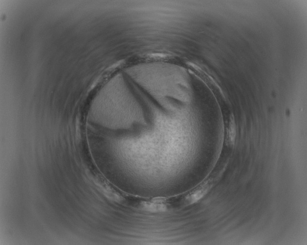 X0000084600520200703091932