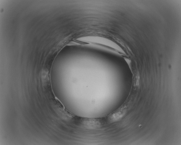 X0000084600521200703091932