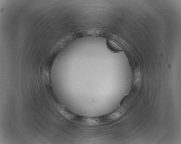 X0000084600522200703091932