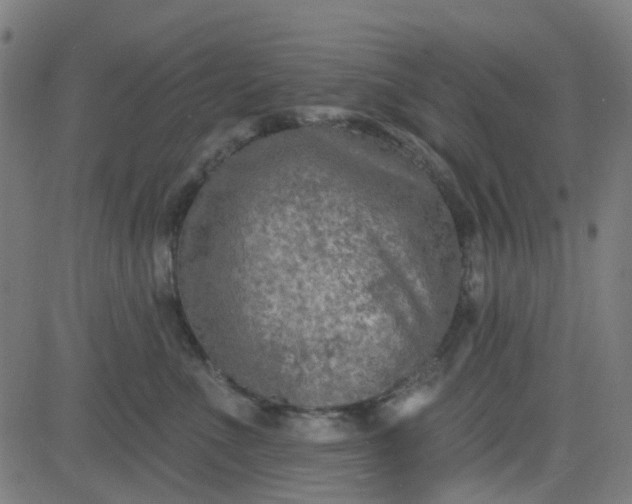 X0000084600523200703091932