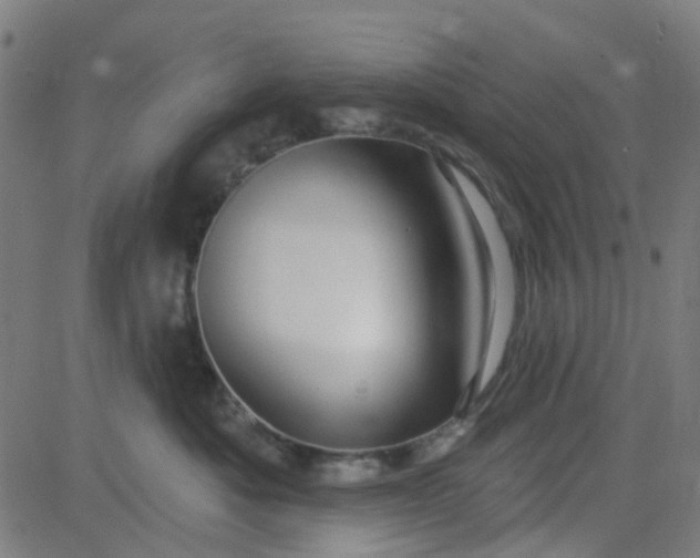 X0000084600525200703091932