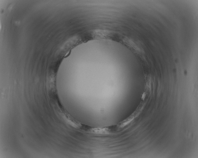 X0000084600526200703091932