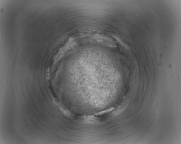 X0000084600528200703091932