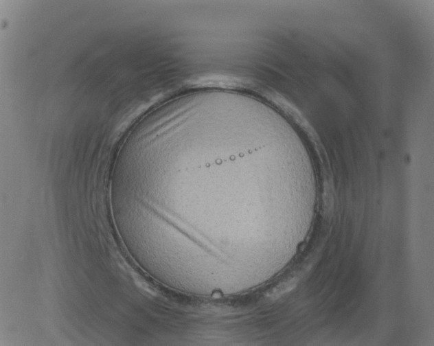 X0000084600529200703091931