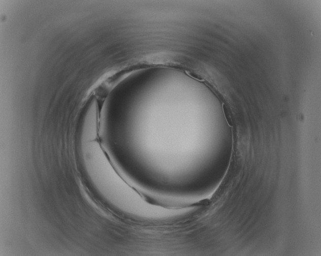 X0000084600530200703091931