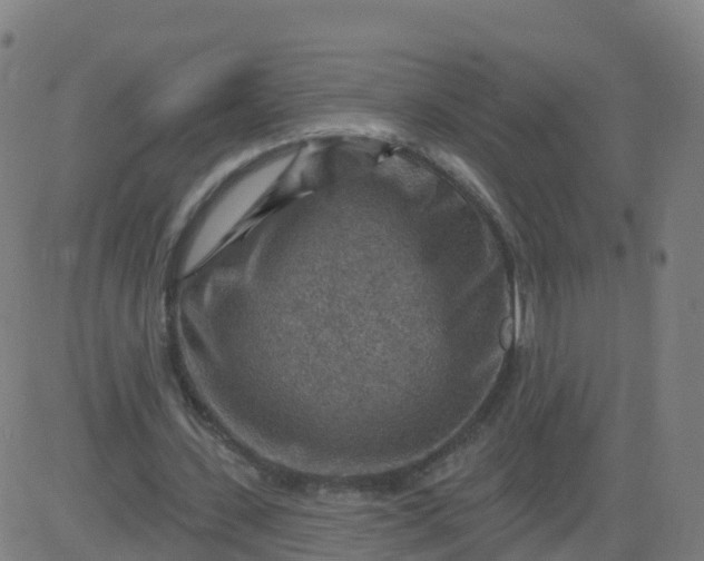 X0000084600531200703091931