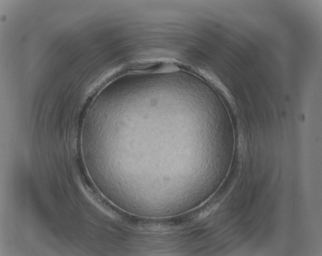 X0000084600533200703091931