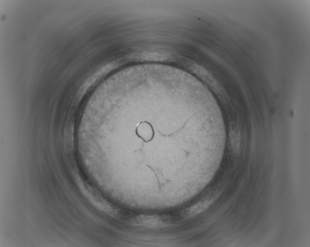 X0000084600534200703091931