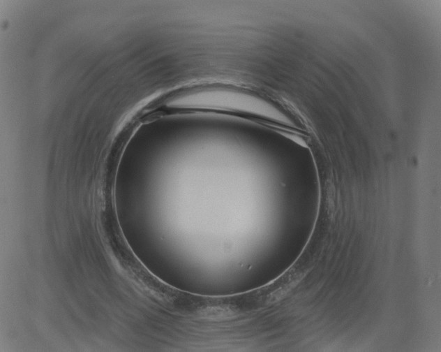 X0000084600536200703091931