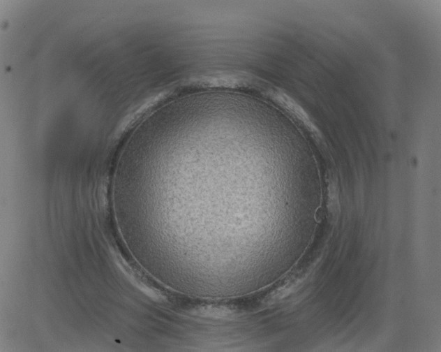 X0000084600537200703091931