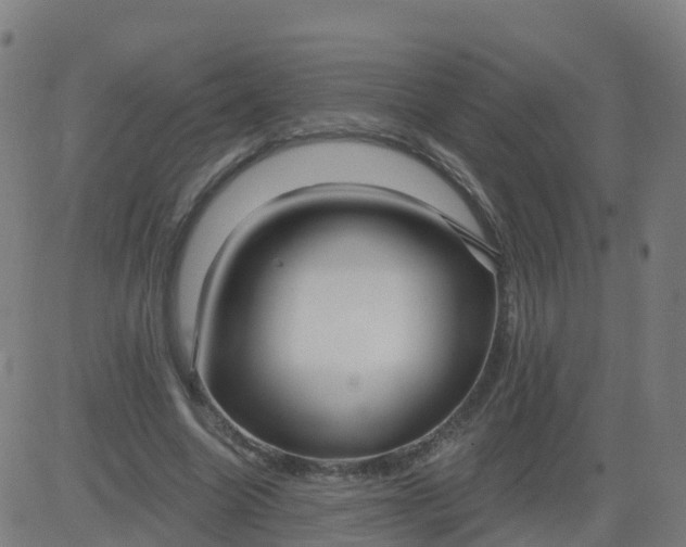 X0000084600538200703091931