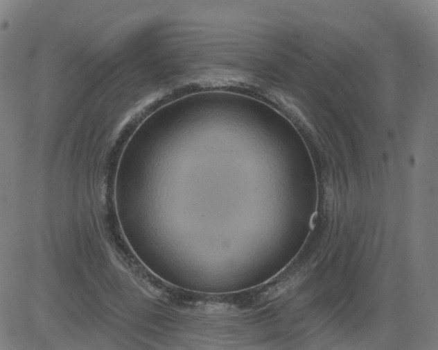 X0000084600539200703091931