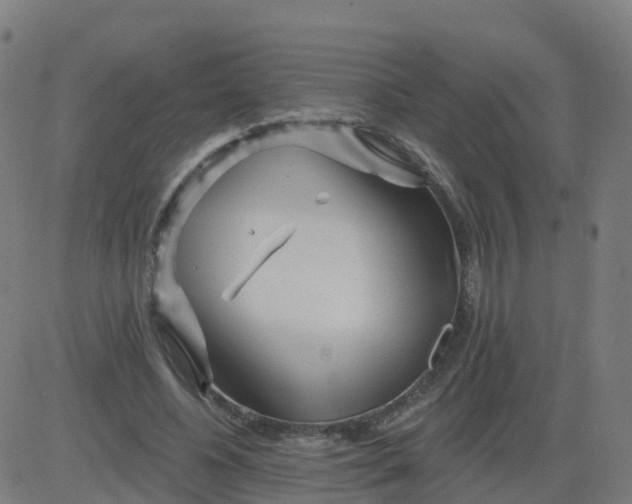 X0000084600540200703091931