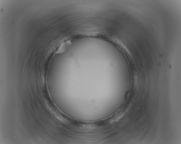 X0000084600541200703091931