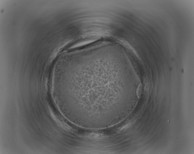 X0000084600542200703091931