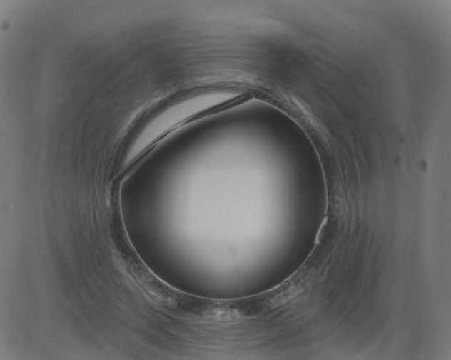 X0000084600543200703091931