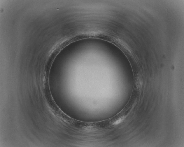 X0000084600544200703091931