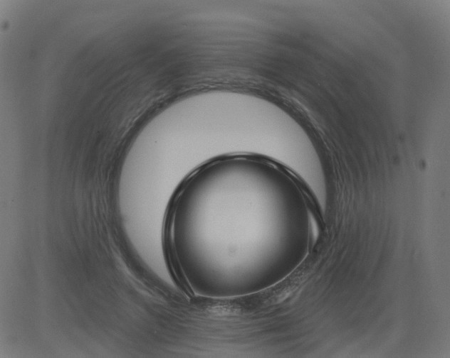 X0000084600546200703091931