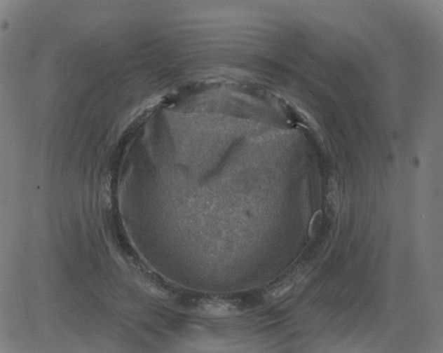 X0000084600547200703091931