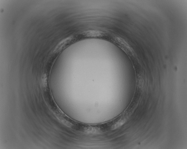 X0000084600549200703091931