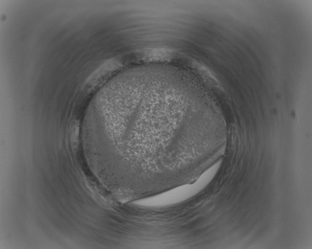 X0000084600550200703091931