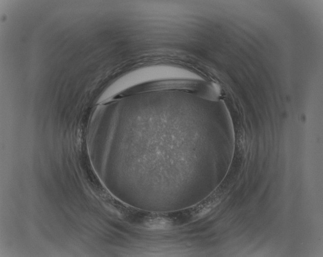 X0000084600551200703091931