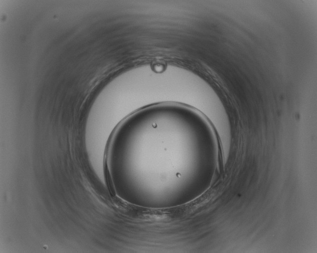 X0000084600552200703091931