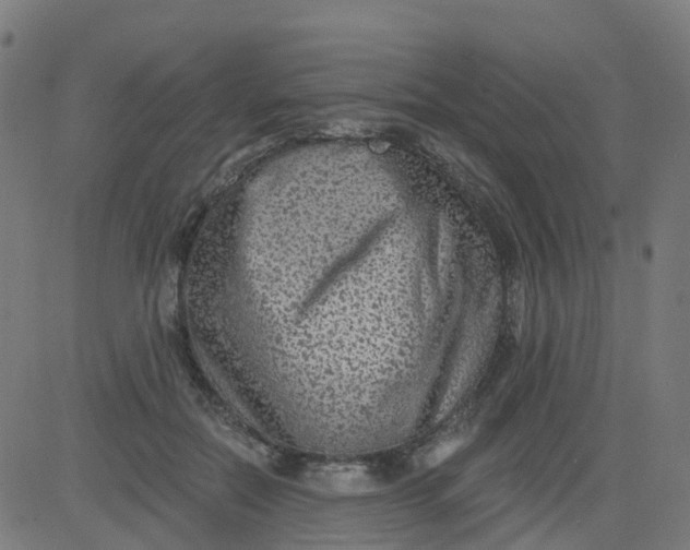 X0000084600554200703091931