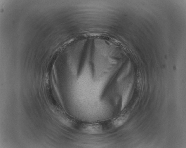 X0000084600555200703091931