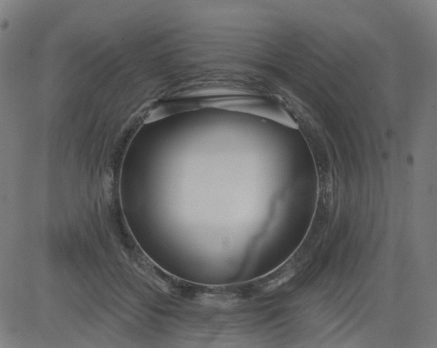 X0000084600556200703091931