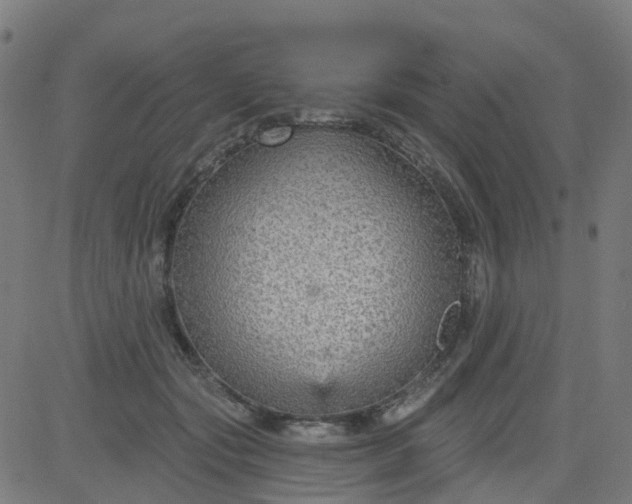 X0000084600557200703091931