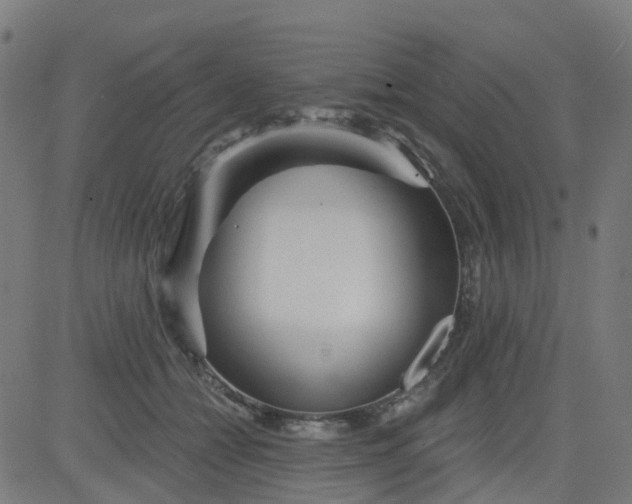 X0000084600558200703091931