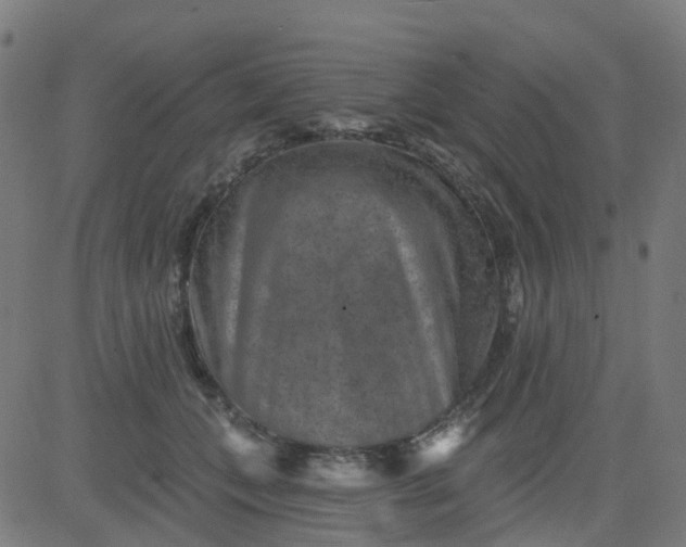 X0000084600559200703091932