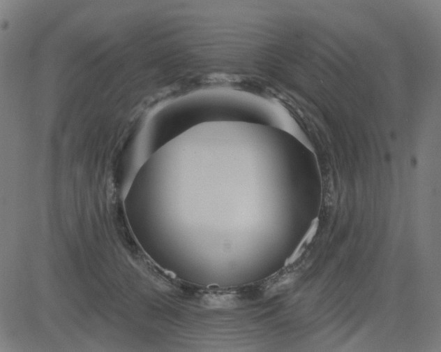 X0000084600560200703091932