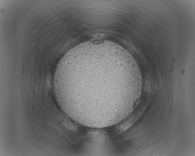 X0000084600561200703091932