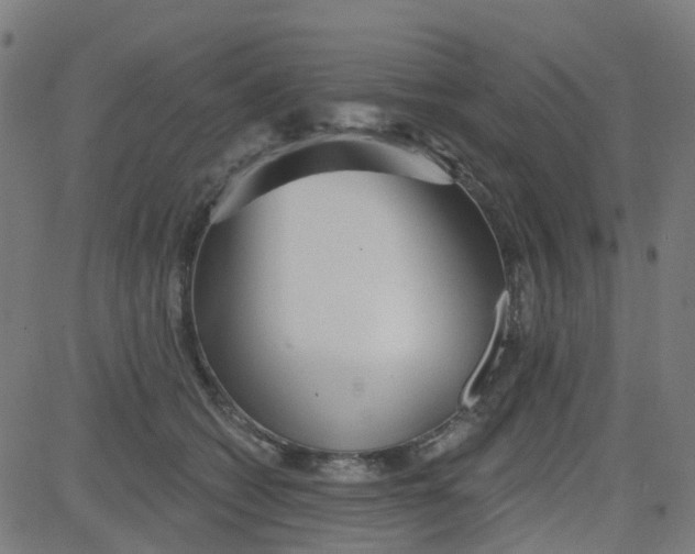 X0000084600562200703091932