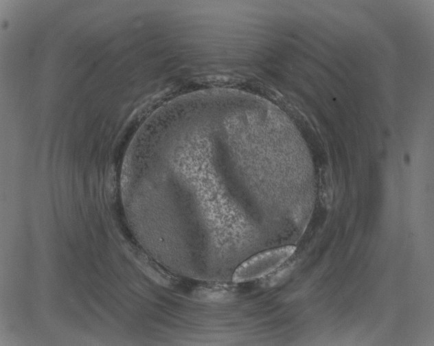 X0000084600563200703091932