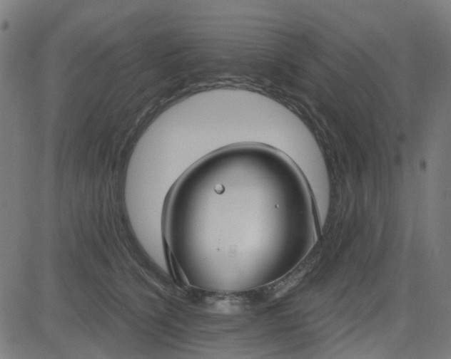 X0000084600564200703091932