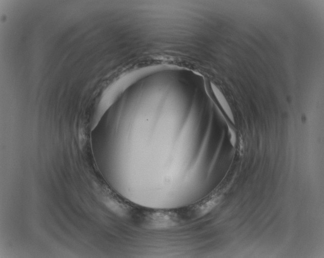 X0000084600566200703091932