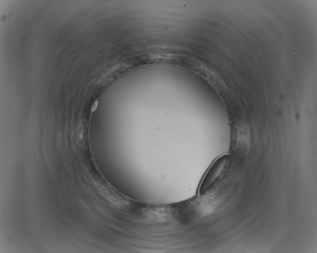 X0000084600567200703091932