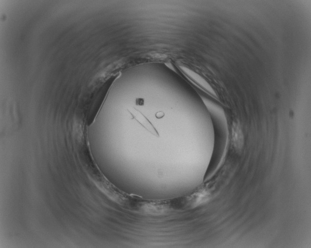 X0000084600568200703091932