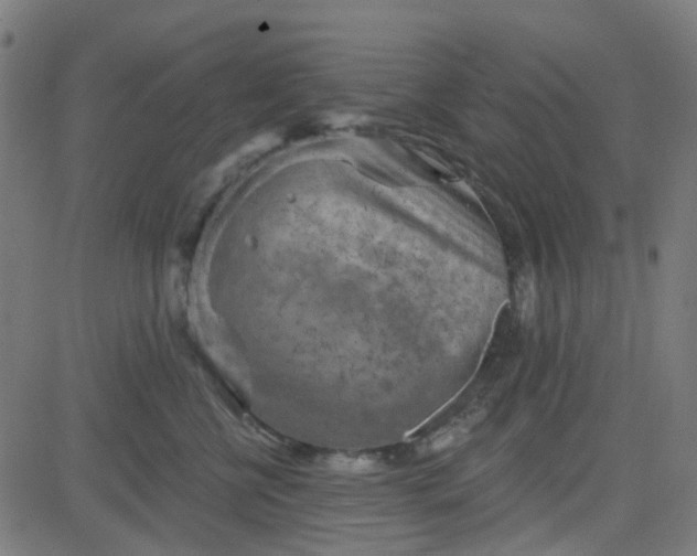 X0000084600570200703091932