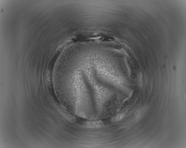 X0000084600571200703091932