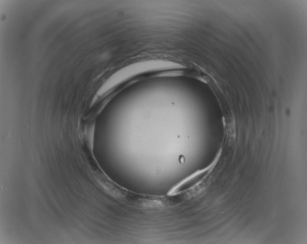 X0000084600572200703091932