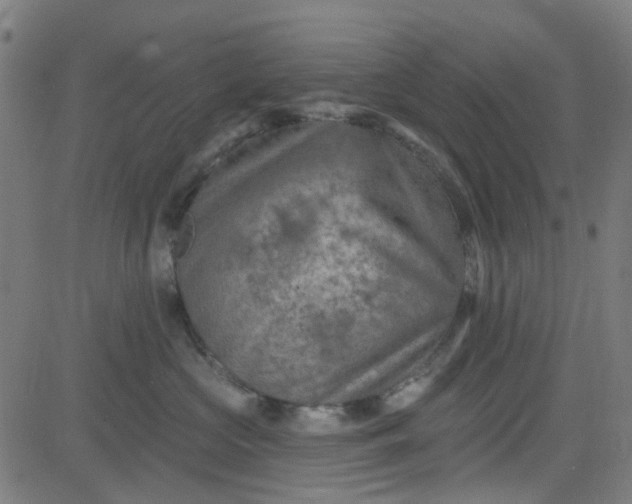 X0000084600573200703091932