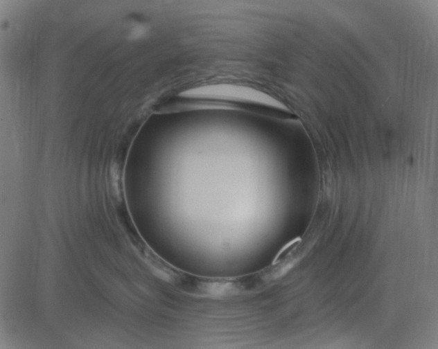 X0000084600575200703091932