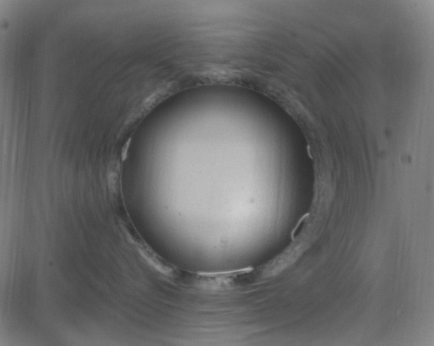 X0000084600576200703091932